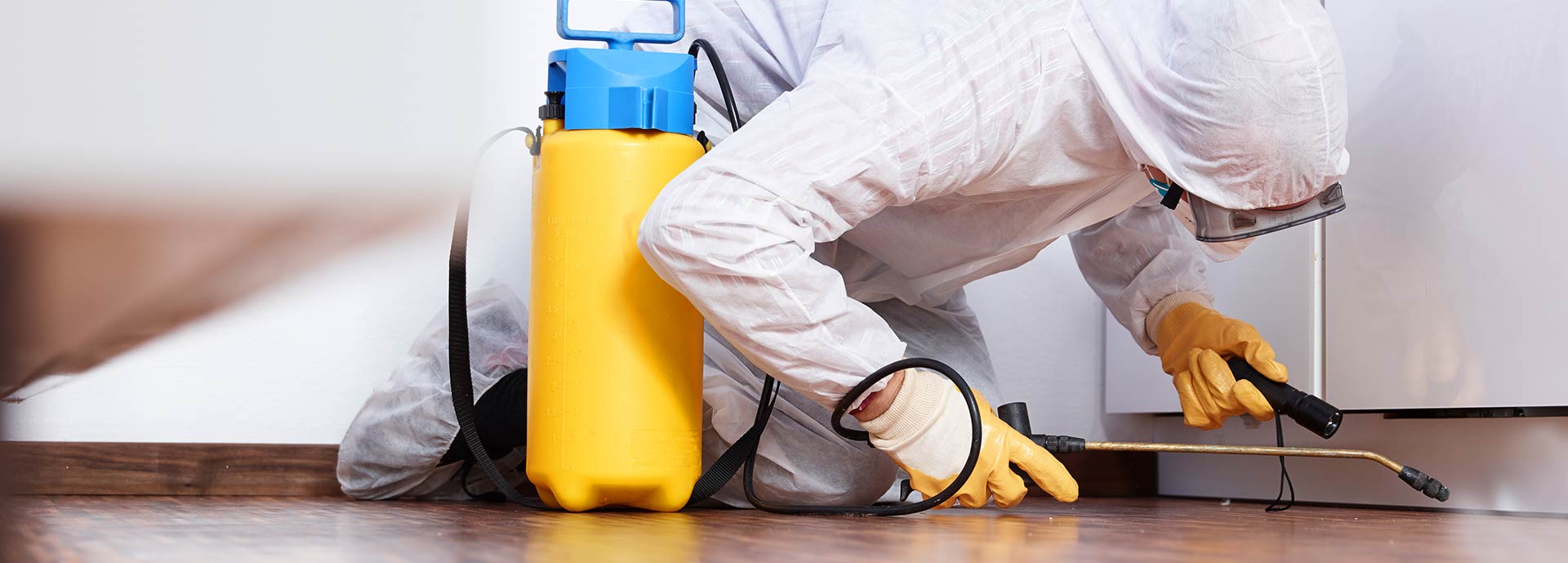 Las plagas en las comunidades de vecinos