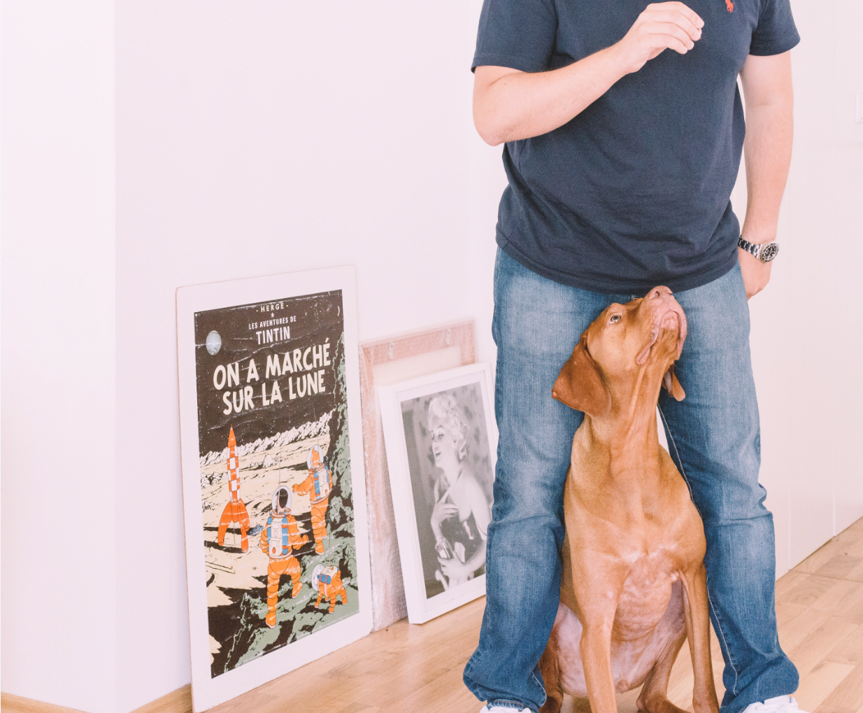 Normas a seguir en una comunidad de propietarios para tener mascotas