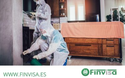 Soluciones para problemas de plagas en tu comunidad de vecinos